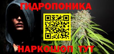 бошки Заволжье