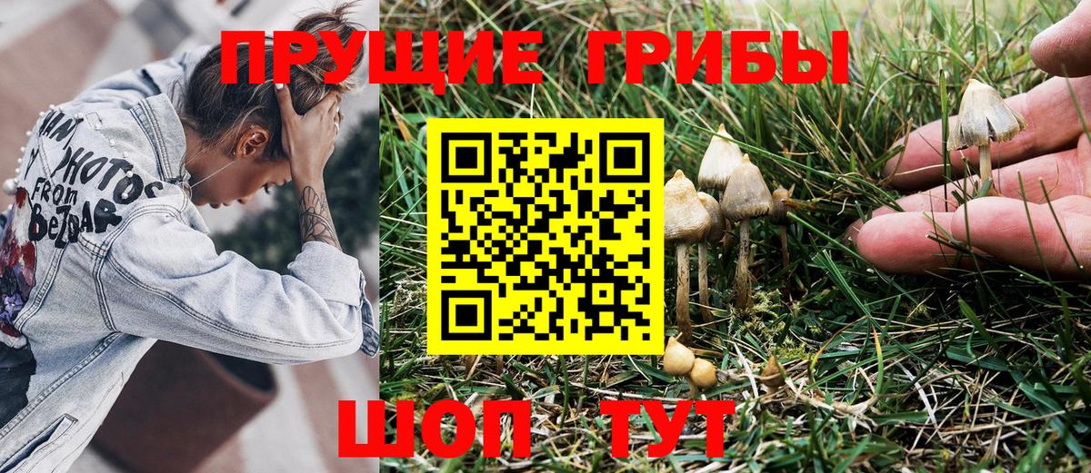 Салехард  Псилоцибиновые грибы MAGIC MUSHROOMS  где купить наркотик  Вход с VPN 