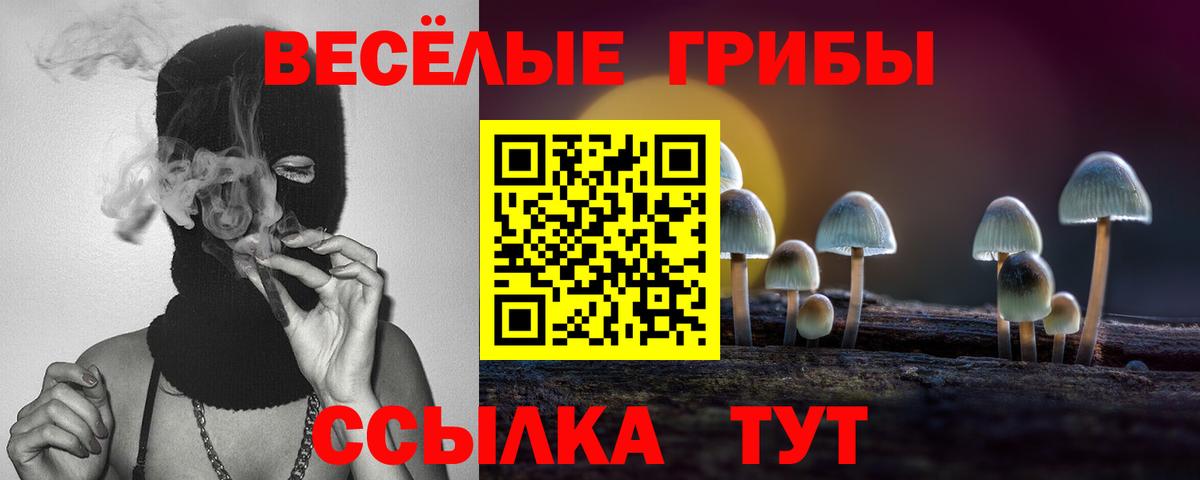 Псилоцибиновые грибы мицелий Салехард